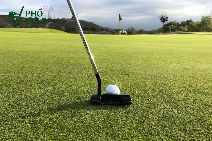 Các bài tập golf nâng cao giúp hạ handicap nhanh chóng Golfer tập yoga và bài tập cân bằng để nâng cao linh hoạt và ổn định cú swing