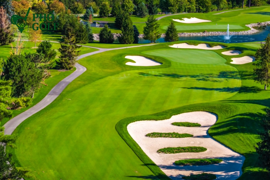 Kỹ thuật trồng và chăm sóc cỏ sân golf đúng tiêu chuẩn Các sản phẩm chăm sóc sân golf từ PhốGolf, bao gồm máy cắt, hệ thống tưới tiêu và thảm gạt golf chất lượng cao