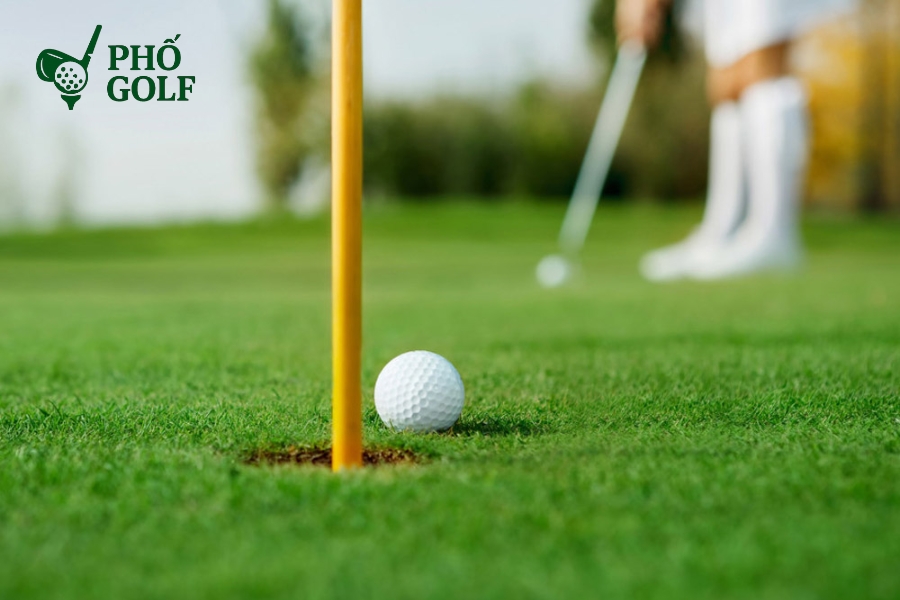 Tổng hợp các bài tập đánh golf cơ bản cho người mới Các loại bóng golf từ cơ bản đến cao cấp dùng cho luyện tập