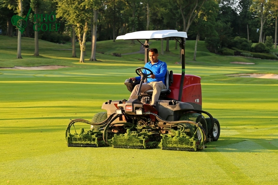 Kỹ thuật trồng và chăm sóc cỏ sân golf đúng tiêu chuẩn Cắt tỉa định kỳ cỏ sân golf với máy cắt lưỡi dao sắc, đảm bảo độ cao cắt chuẩn và chất lượng mặt sân tốt