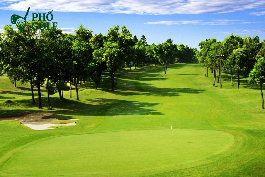 Kỹ thuật trồng và chăm sóc cỏ sân golf đúng tiêu chuẩn Cỏ Perennial Ryegrass trên sân golf, xanh tươi và đàn hồi, thích hợp cho khu vực cần phục hồi nhanh chóng