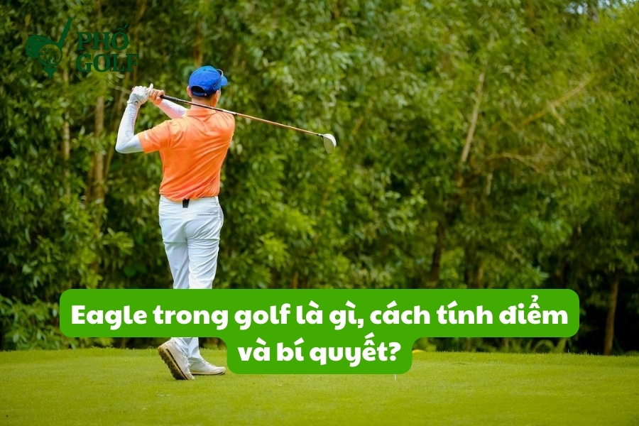 Eagle trong golf là gì, cách tính điểm và bí quyết? Eagle trong golf là gì, cách tính điểm và bí quyết?