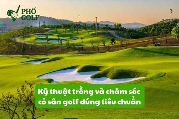 Kỹ thuật trồng và chăm sóc cỏ sân golf đúng tiêu chuẩn