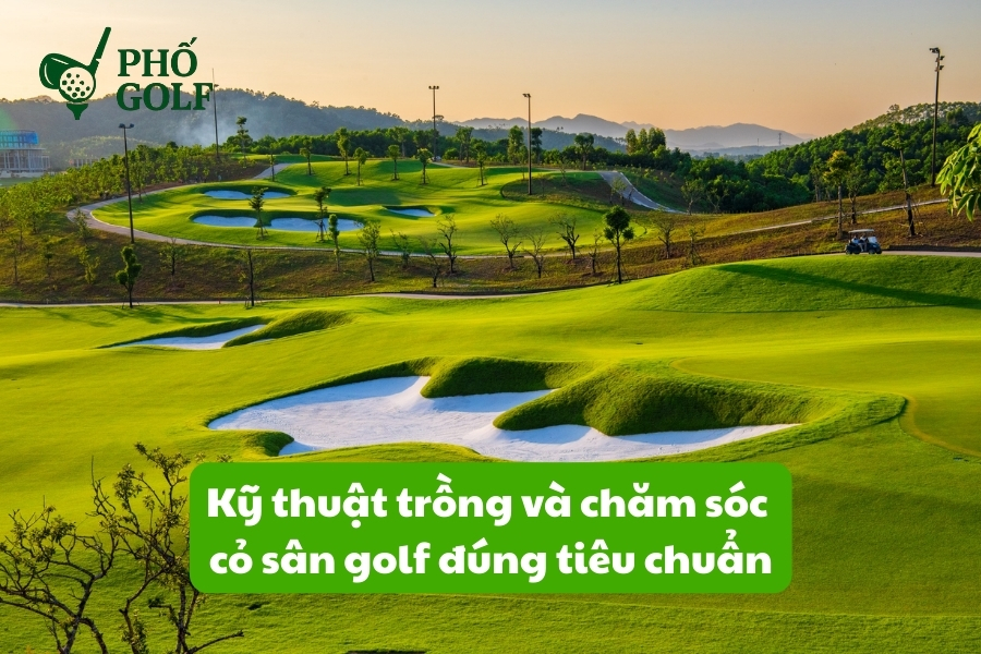 Kỹ thuật trồng và chăm sóc cỏ sân golf đúng tiêu chuẩn Kỹ thuật trồng và chăm sóc cỏ sân golf đúng tiêu chuẩn