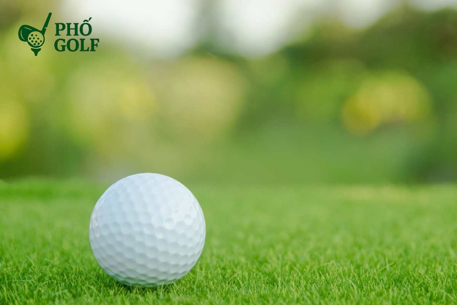 Kỹ thuật trồng và chăm sóc cỏ sân golf đúng tiêu chuẩn Quy trình trồng cỏ sân golf chuyên nghiệp với các bước chuẩn bị đất, lắp đặt hệ thống tưới tiêu và gieo trồng