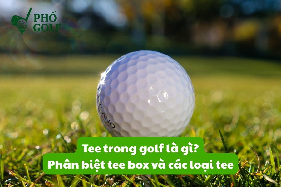 Tee trong golf là gì, phân biệt tee box và các loại tee Tee trong golf là gì, phân biệt tee box và các loại tee