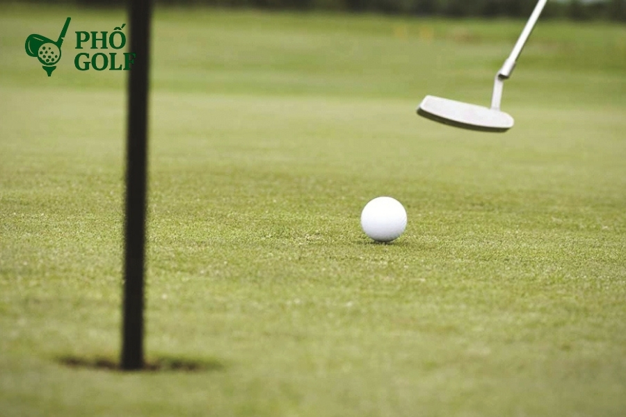 Tốc độ green là gì, bí quyết chinh phục mọi sân golf? Bảng so sánh tốc độ green từ chậm, trung bình đến nhanh